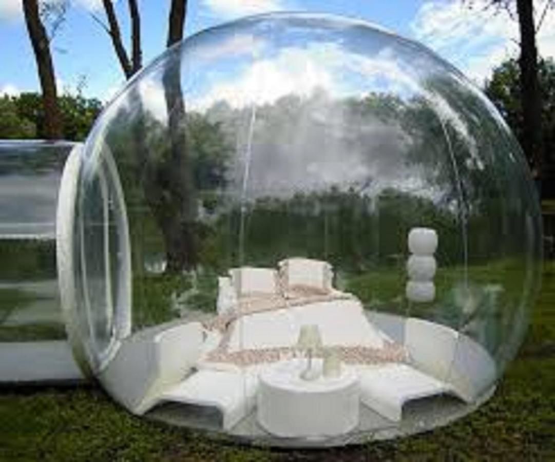 Люкс-шатры Bubble tent for couple to spend romantic time Инкоо-5